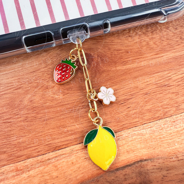 Kindle Charms, Dust Plug Charm E-reader iPhone iPad Tablets USB C Port