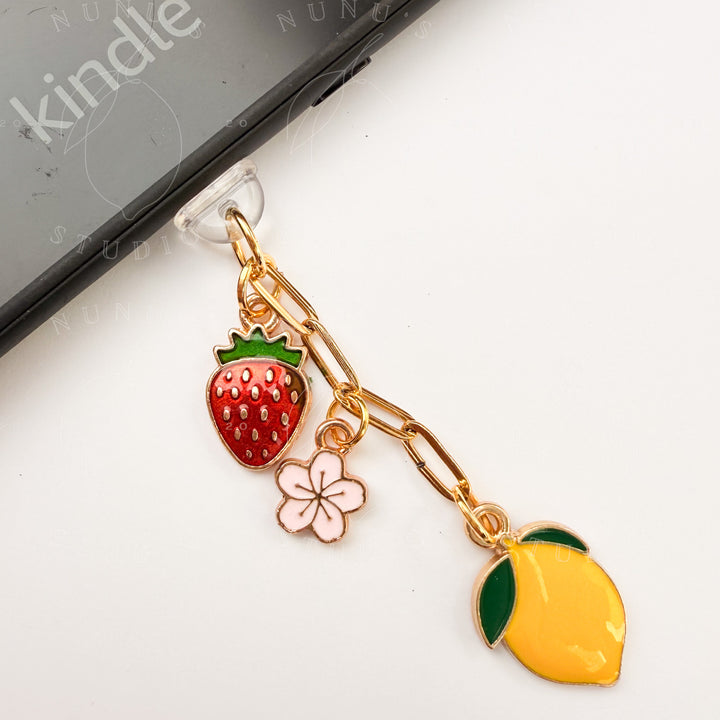 Kindle Charms, Dust Plug Charm E-reader iPhone iPad Tablets USB C Port