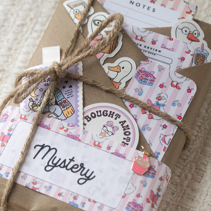 Blind Date with a Book with Matching Accessories - Choose Theme & Genre