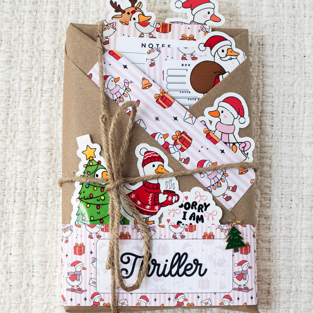 Blind Date with a Book with Matching Accessories - Choose Theme & Genre